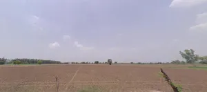 Hansi, Haryana 125033, India preview 2