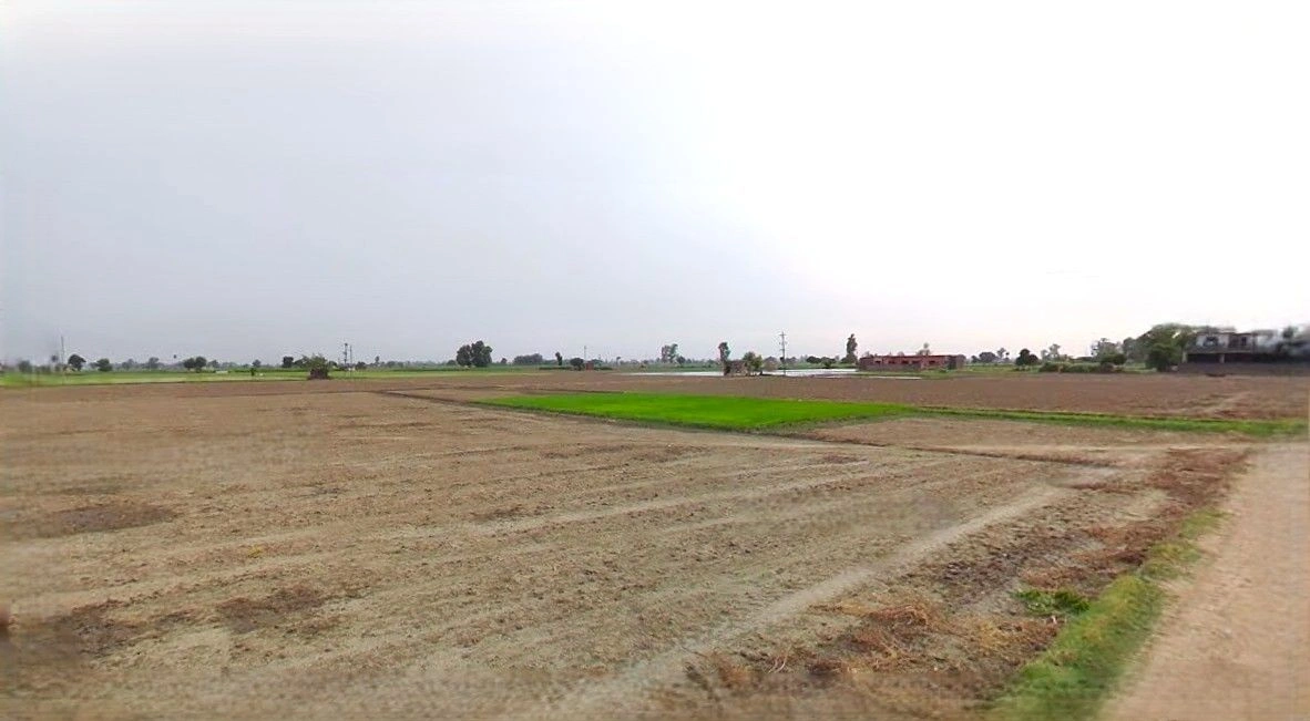 Yamuna Nagar, Haryana, India