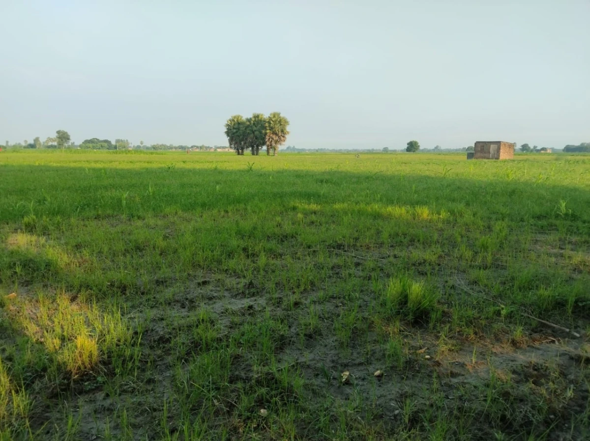 Pilibhit, Uttar Pradesh 262001, India