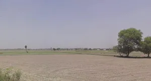 Ratapani, Madhya Pradesh, India preview 2