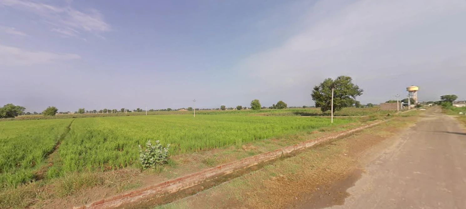 Chautala, Haryana 125101, India