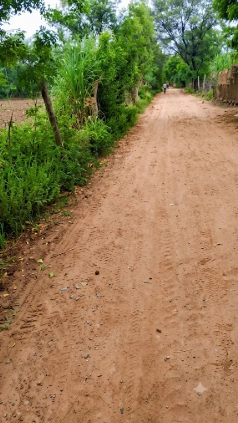 4F9J+2W Bhadlao, Sawai Madhopur, Rajasthan, India