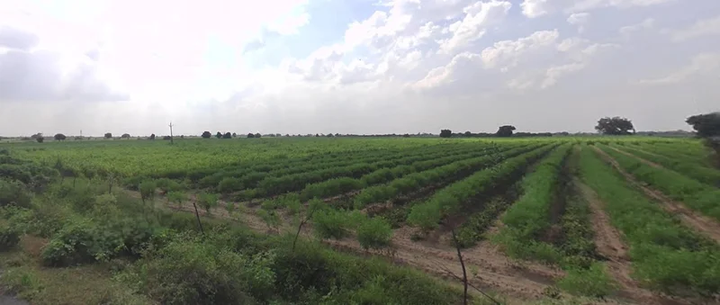 RPGR+H5 Dhabda, Gujarat, India preview 2