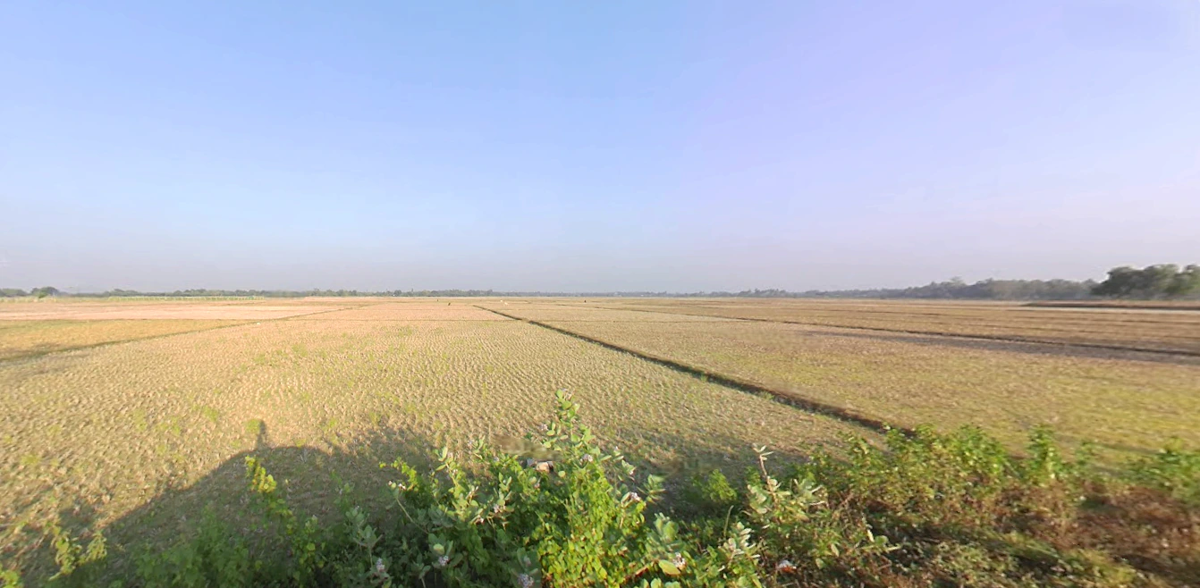 6493+H53, Pani Poili Dam and Reservoir, Khanguri, Odisha 752077, India
