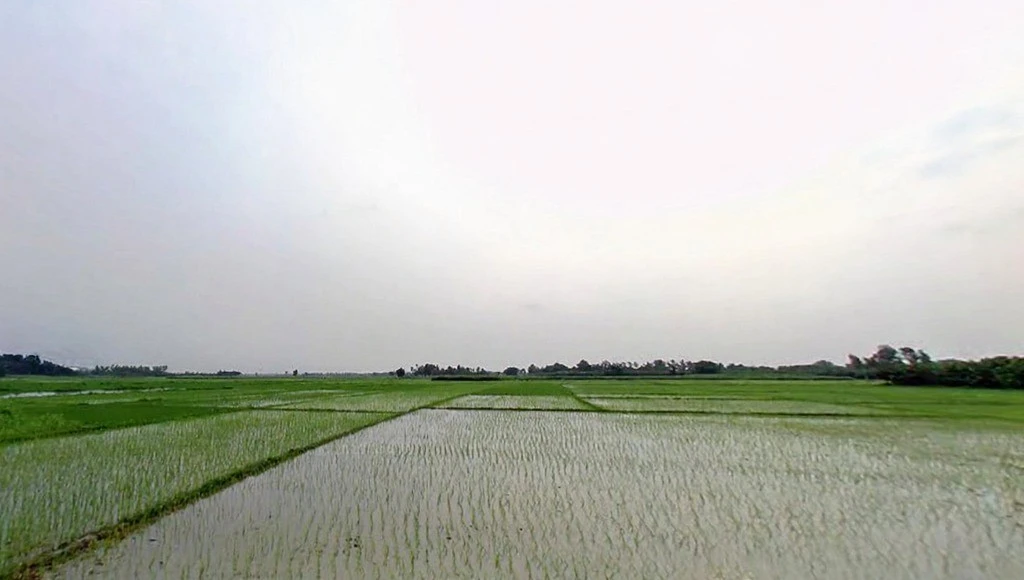 F2V9+Q98, Hanuman Nagar, Bihar 854340, India