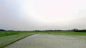 F2V9+Q98, Hanuman Nagar, Bihar 854340, India preview 2