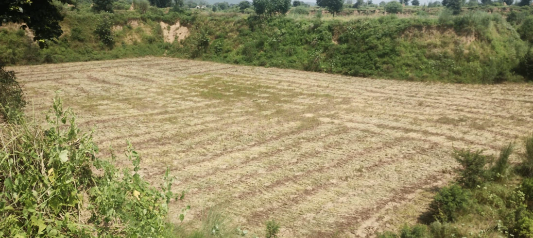 6JXV+9J9, Jaipur, Govindgarh, Rajasthan 303712, India