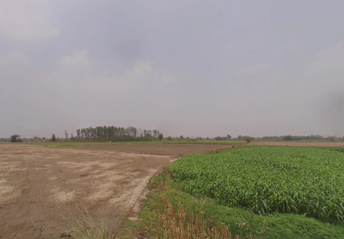 Sampla, Haryana 124501, India