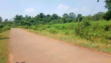 Kosagumuda, Nabarangapur, Odisha 764061, India