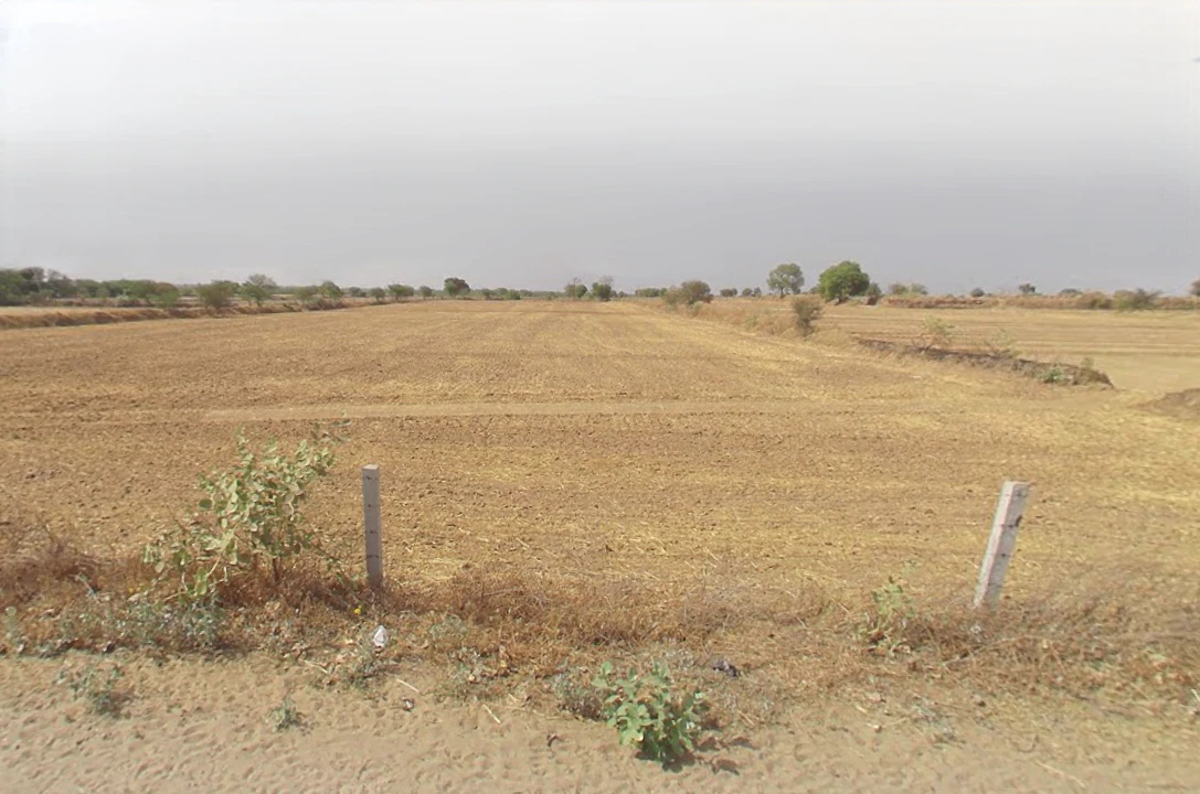 FMGQ+VXH, Bhathera, Haryana 124108, India