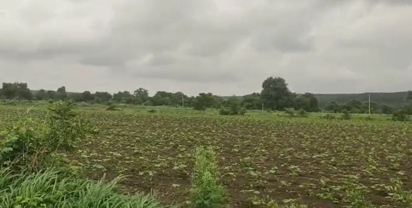 CRQ8+G9G, Vikarabad, Mothkupally, Telangana 501106, India