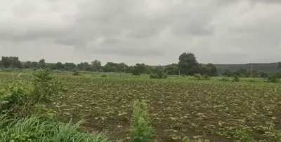 CRQ8+G9G, Vikarabad, Mothkupally, Telangana 501106, India preview 2