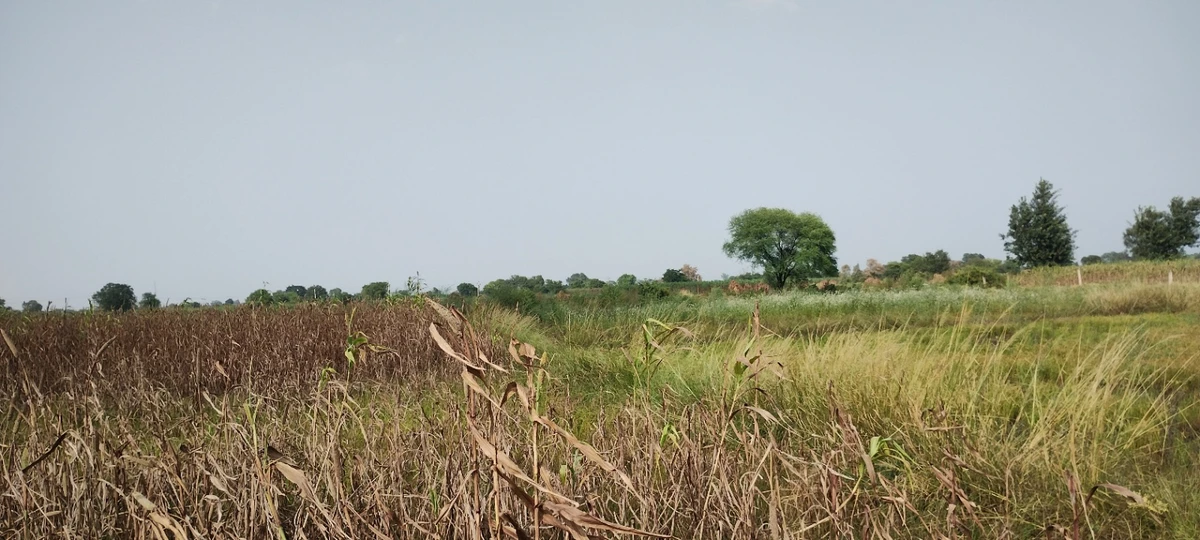 Aou, Rajasthan, India