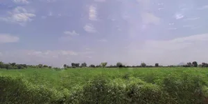 Jadan, Rajasthan 306401, India preview 3