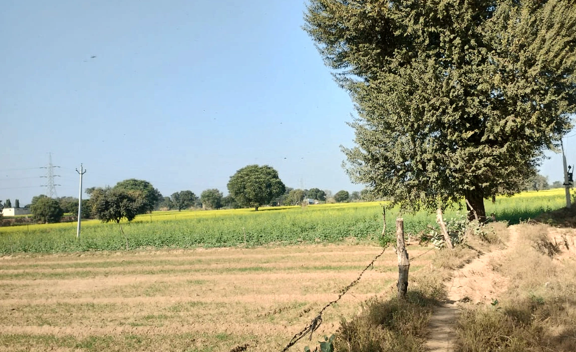 Chohan, Punjab 143149, India