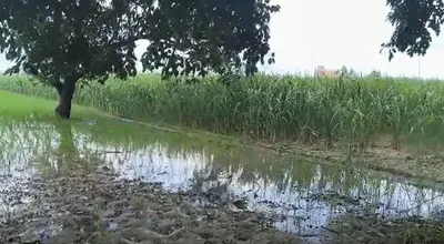 Incholi, Meerut, Uttar Pradesh 250001, India preview 2