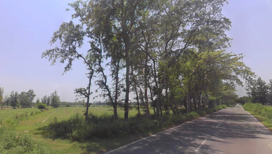 Tanda, Uttar Pradesh 244925, India