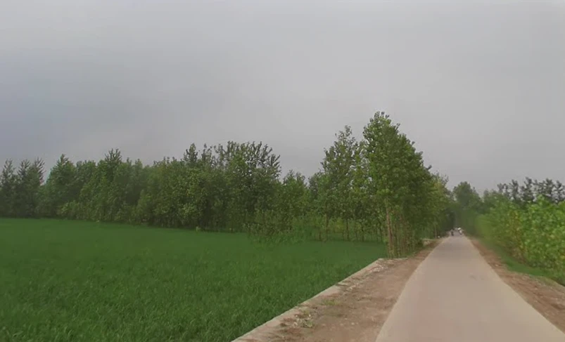 Chilkana Sultanpur, Uttar Pradesh 247231, India