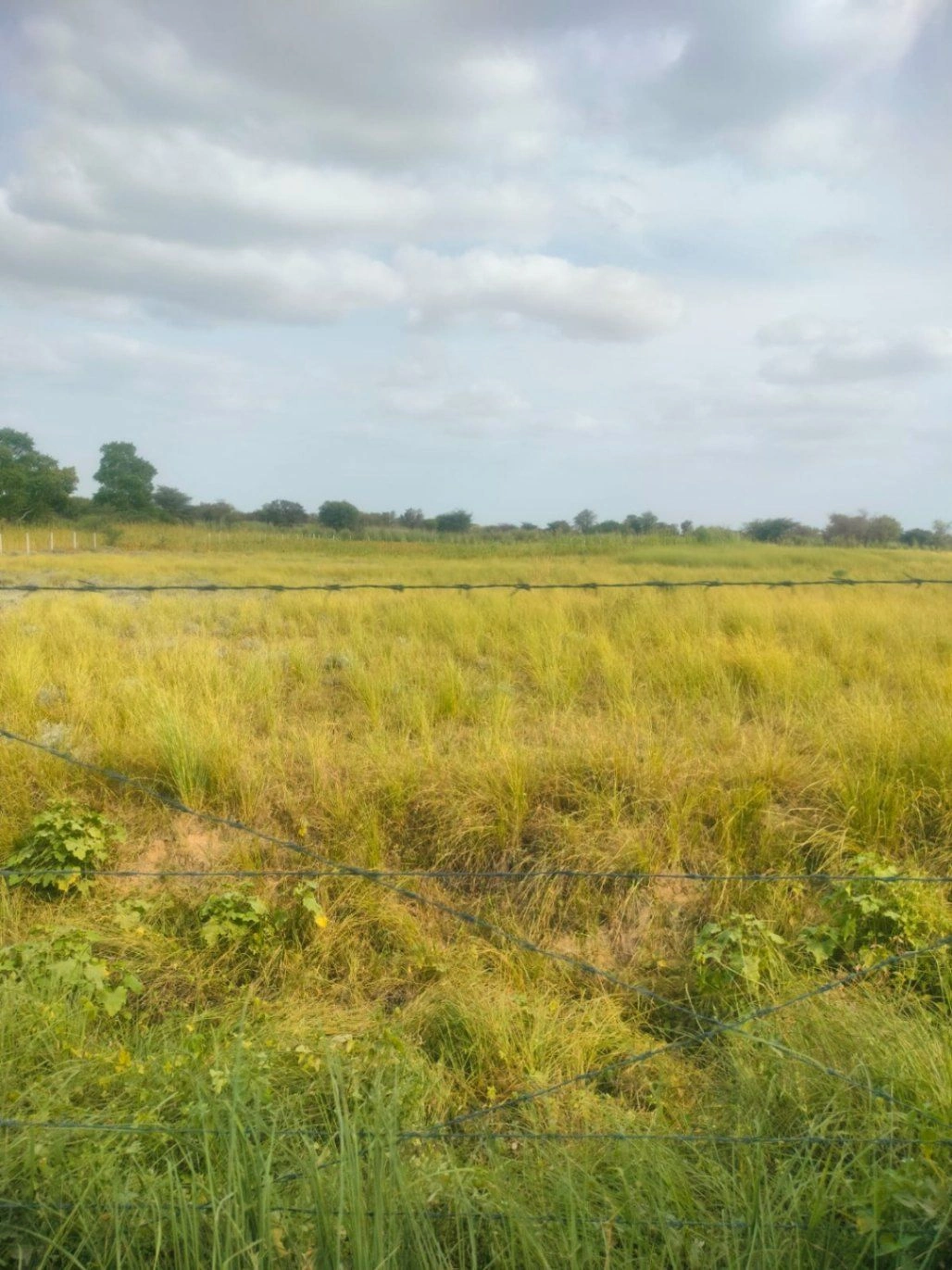 JGMW+F36, Jaipur, Sultaniya, Rajasthan 303005, India