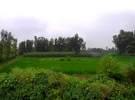 Garapur Urf Rustampur, Uttar Pradesh 244242, India preview 3