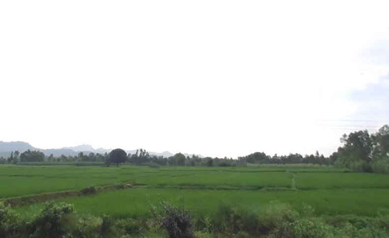 Badshahibagh, Uttar Pradesh 247122, India