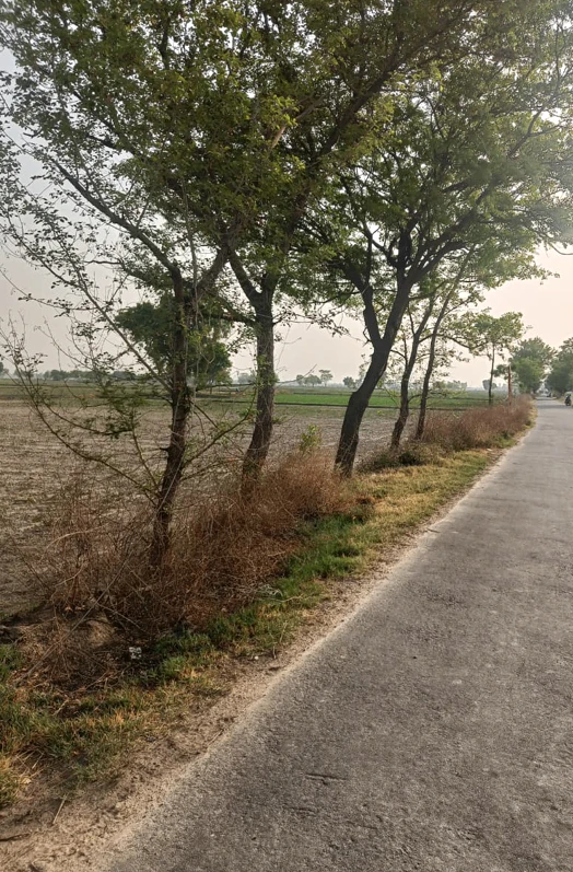 Maina, Rohtak, Haryana, India