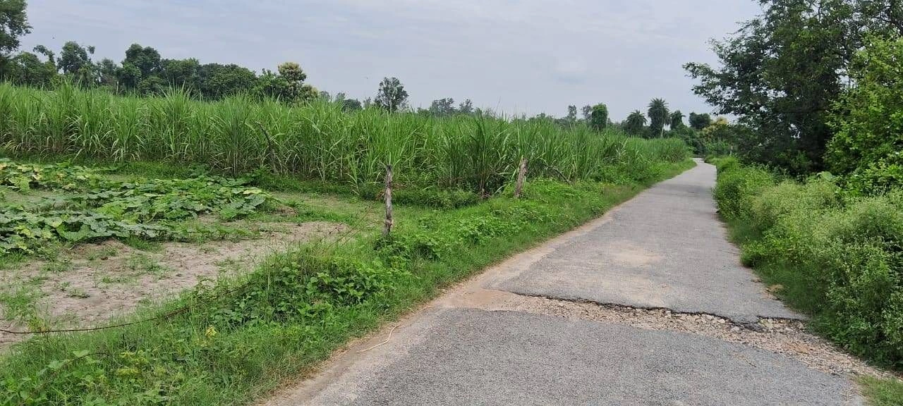 V669+RF, Gonda, Niriya, Uttar Pradesh 271319, India