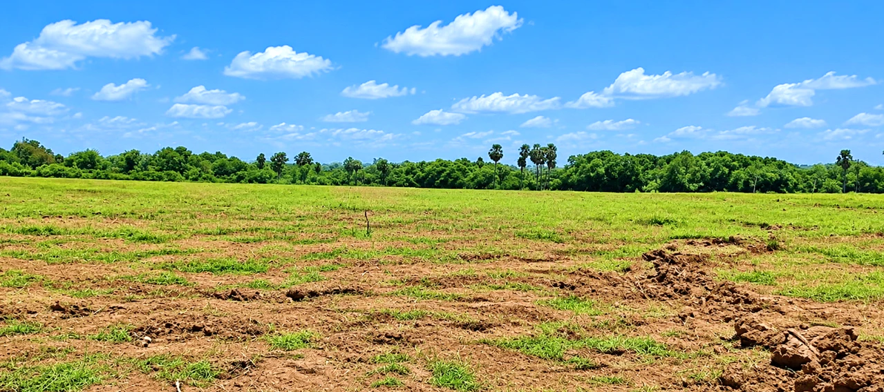6G3Q+HX Kalluru, Khammam, Telangana, India