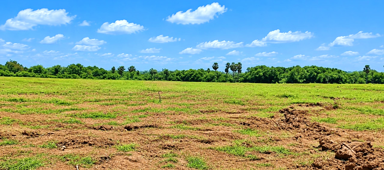 6G3Q+HX Kalluru, Khammam, Telangana, India - Photo 3
