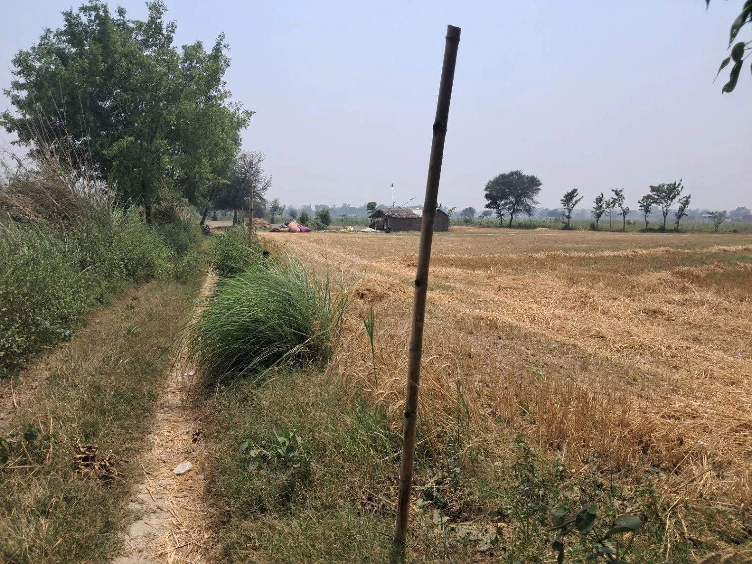 P7P4+V2 Tihura Manjha, Uttar Pradesh, India