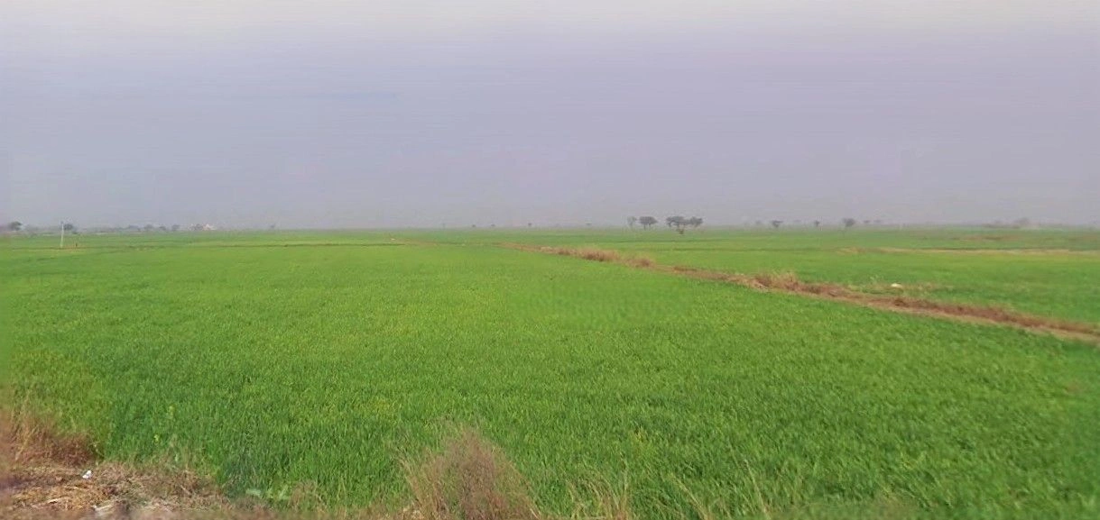 Puranpur, Uttar Pradesh 262122, India preview 2