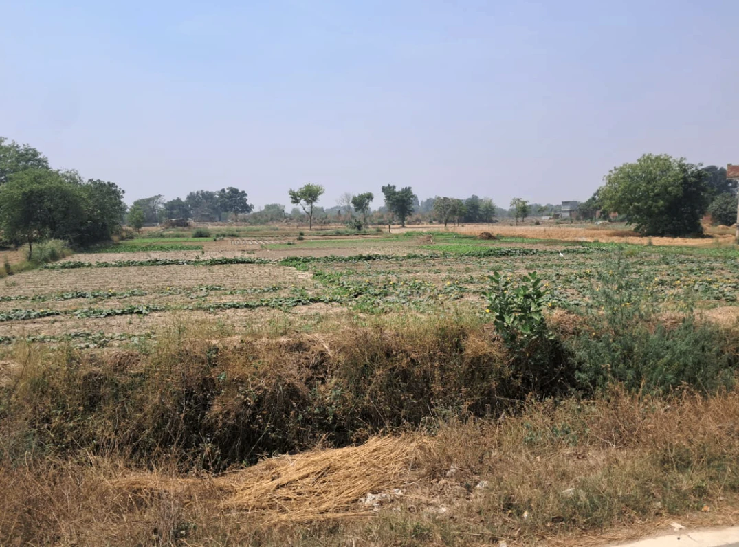 Bela, Punjab 140111, India