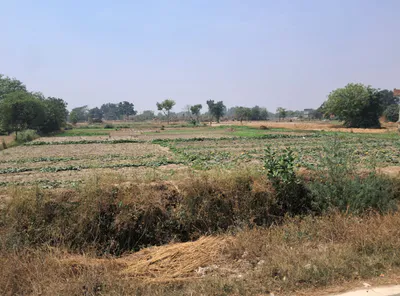 Bela, Punjab 140111, India preview 2