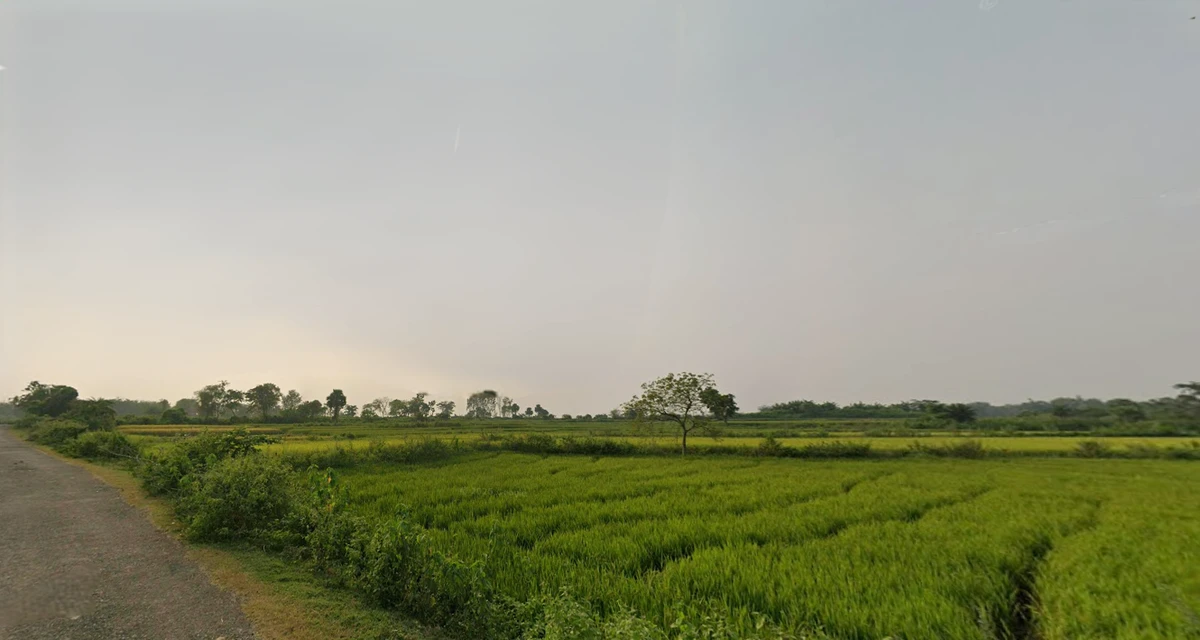 Nikunjapur, West Bengal 722144, India