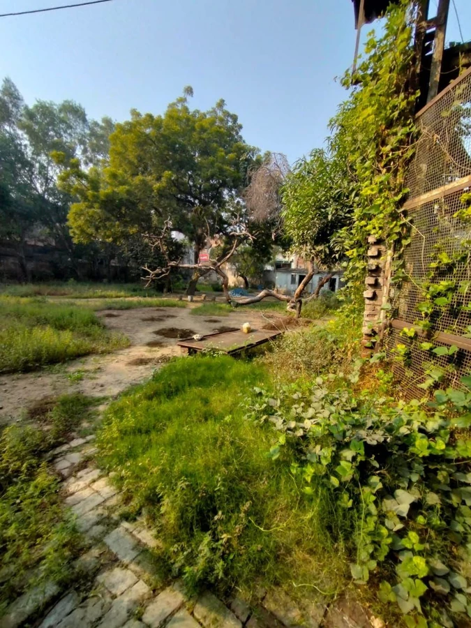 Ram Nagar, Shahdara, Delhi, 110032, India