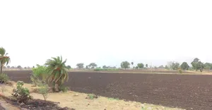 Jaora, Madhya Pradesh 457226, India preview 2