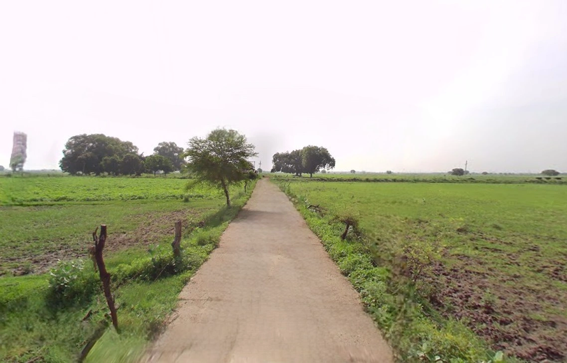Jhajjar, Haryana 124103, India