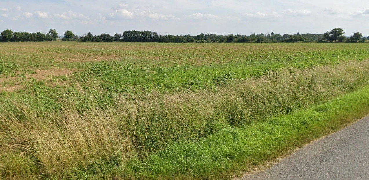 Geedgarh, Madhya Pradesh 456335, India