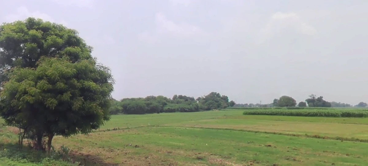 Chouslakulmi, Madhya Pradesh, India