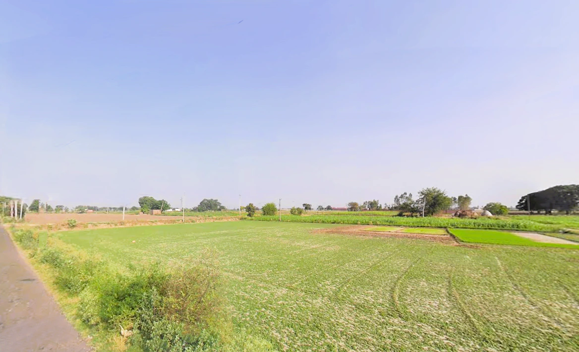 Barsat, Haryana 132114, India