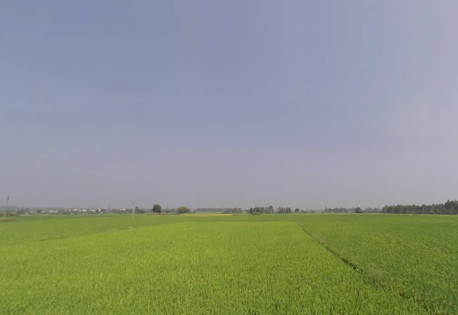 Banur, Punjab, India