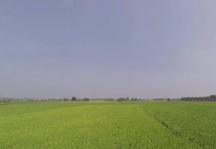 Banur, Punjab, India