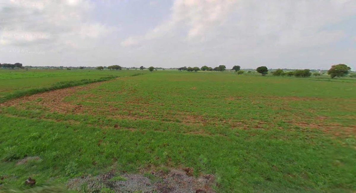Charkhi Dadri, Haryana 127306, India