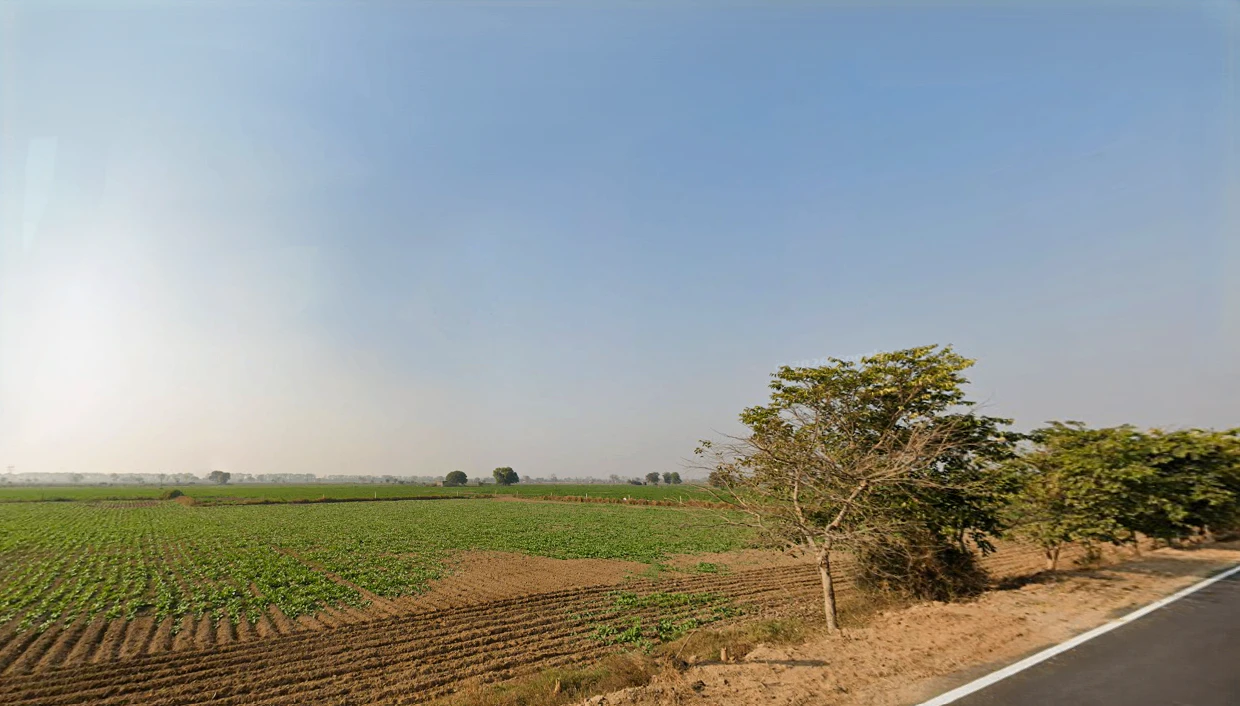 Baliyali, Haryana 127032, India