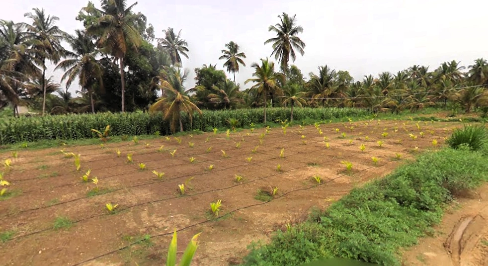 kalenahalli, Karnataka 560089, India