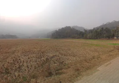 6WCJ+CM Burha Mayang Par, Assam, India preview 3