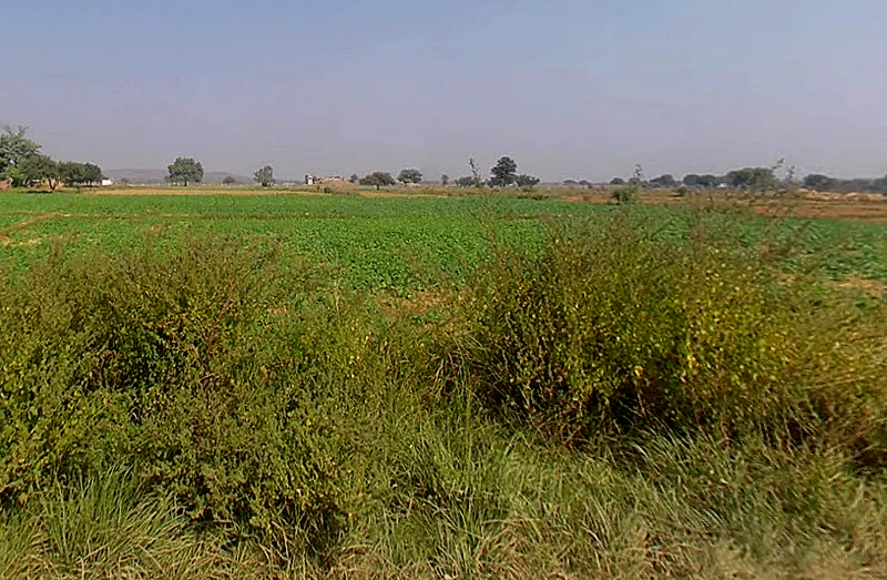 Saktesgarh, Rampur Shakteshgar, Uttar Pradesh 231304, India preview 3