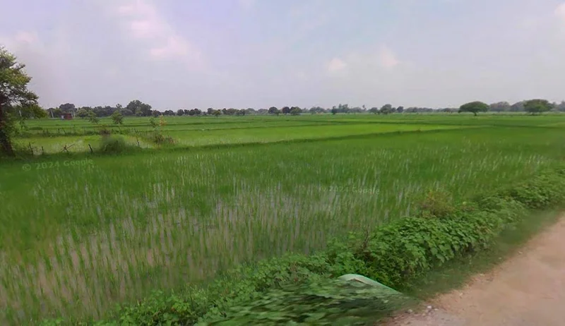 Kothi, Madhya Pradesh 485666, India preview 3