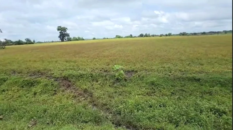 Amapani, Madhya Pradesh 464884, India preview 4