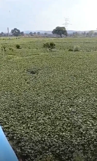Bilo Kalan, Shivpuri, Madhya Pradesh 473551, India preview 2